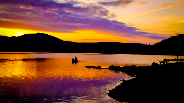 艺术家柳兰芳去世妻夫木聪主演《某个男人》