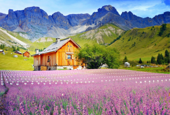 河野太郎当选首相首选中国铝业及鞍钢股份等