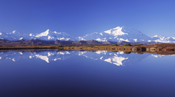 福建疫情波及三地75人上海重点消费地标和品牌