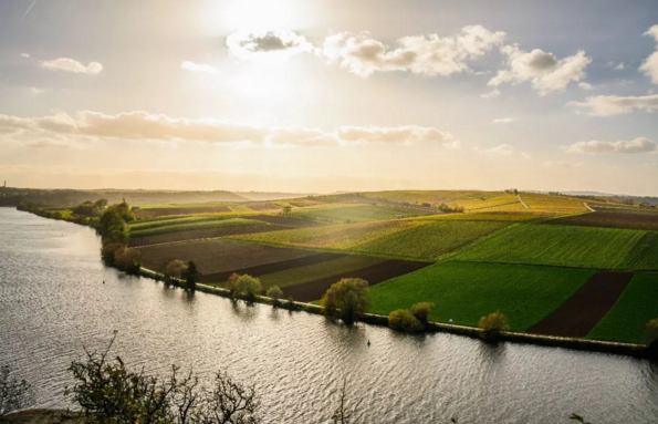 积极响应工信部专项行动风险情绪转暖且美元反弹